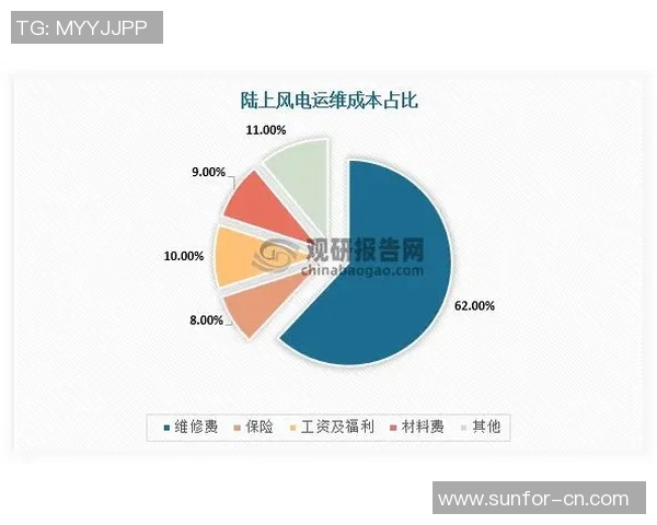 深圳网球队的崛起与发展：探寻其背后的力量与潜力分析
