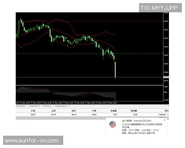 奥地利与俄罗斯精彩对决直播全程回顾与分析